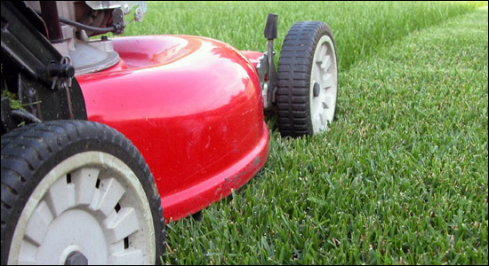 Lawn Care in Houston - Call Turf Plus 281-222-LAWN